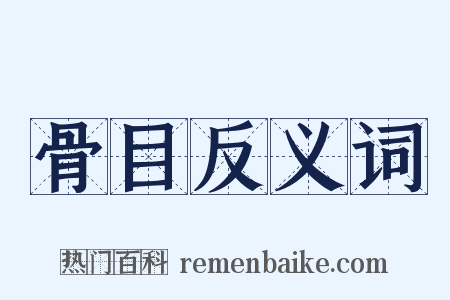 骨目反义词是什么意思的图片